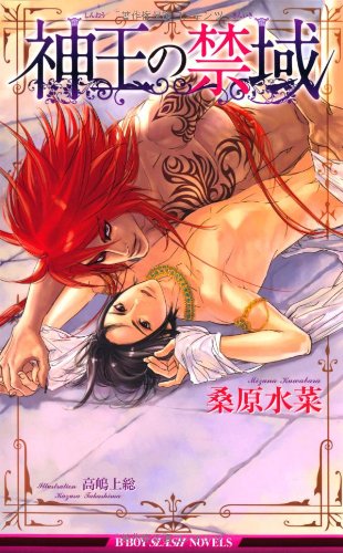 神王の禁域 (ビーボーイスラッシュノベルズ) book