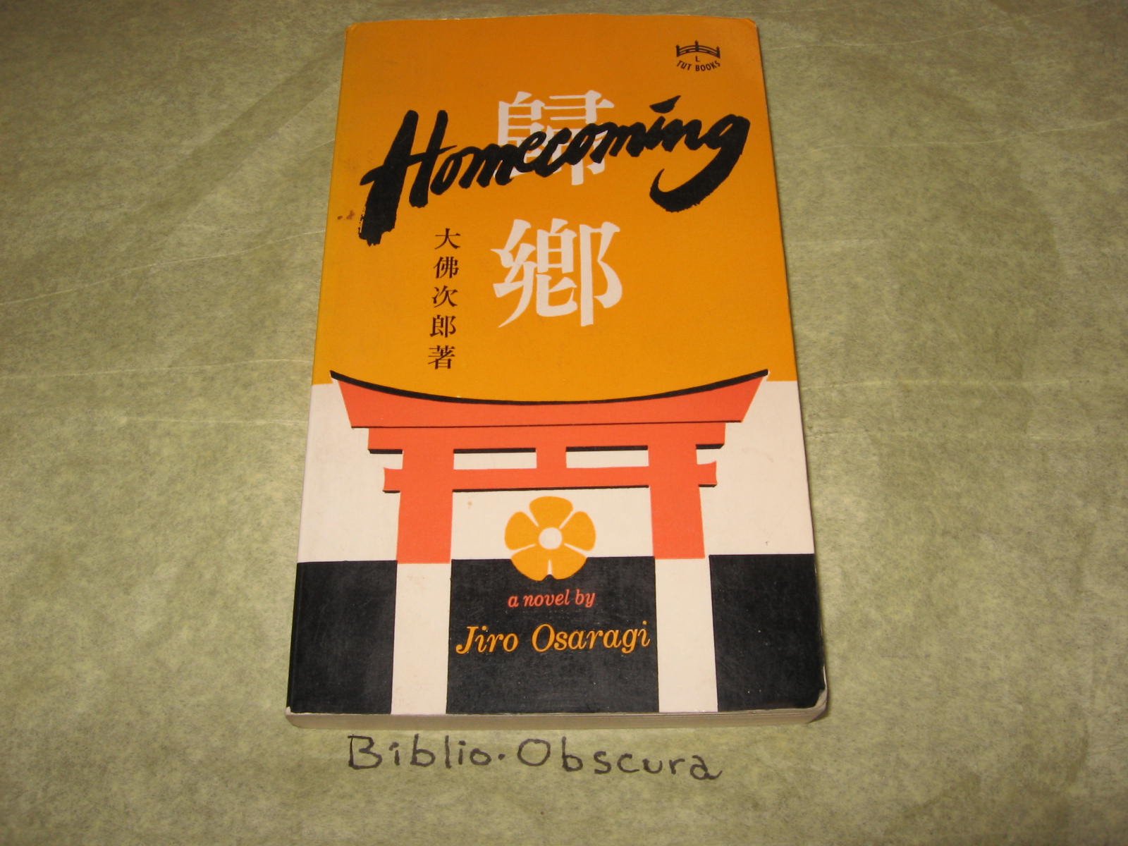 Homecoming Contemporary literature Books