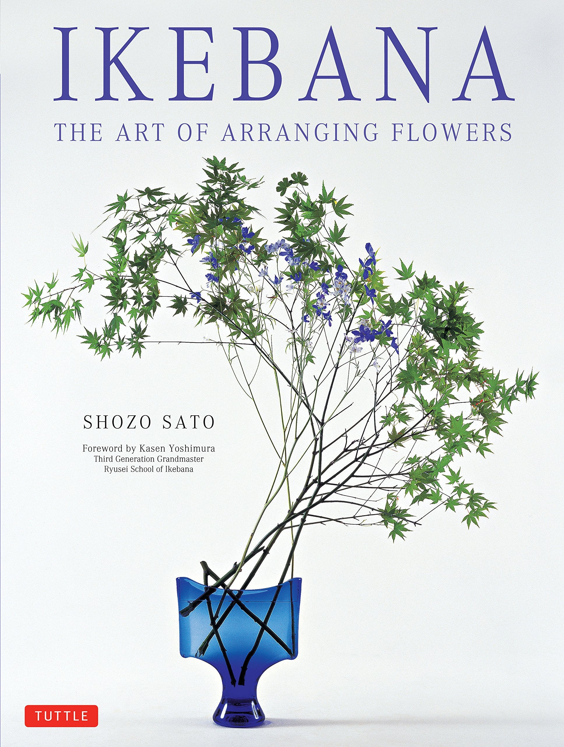 Ikebana: The Art of Arranging Flowers Hobbies & Crafts