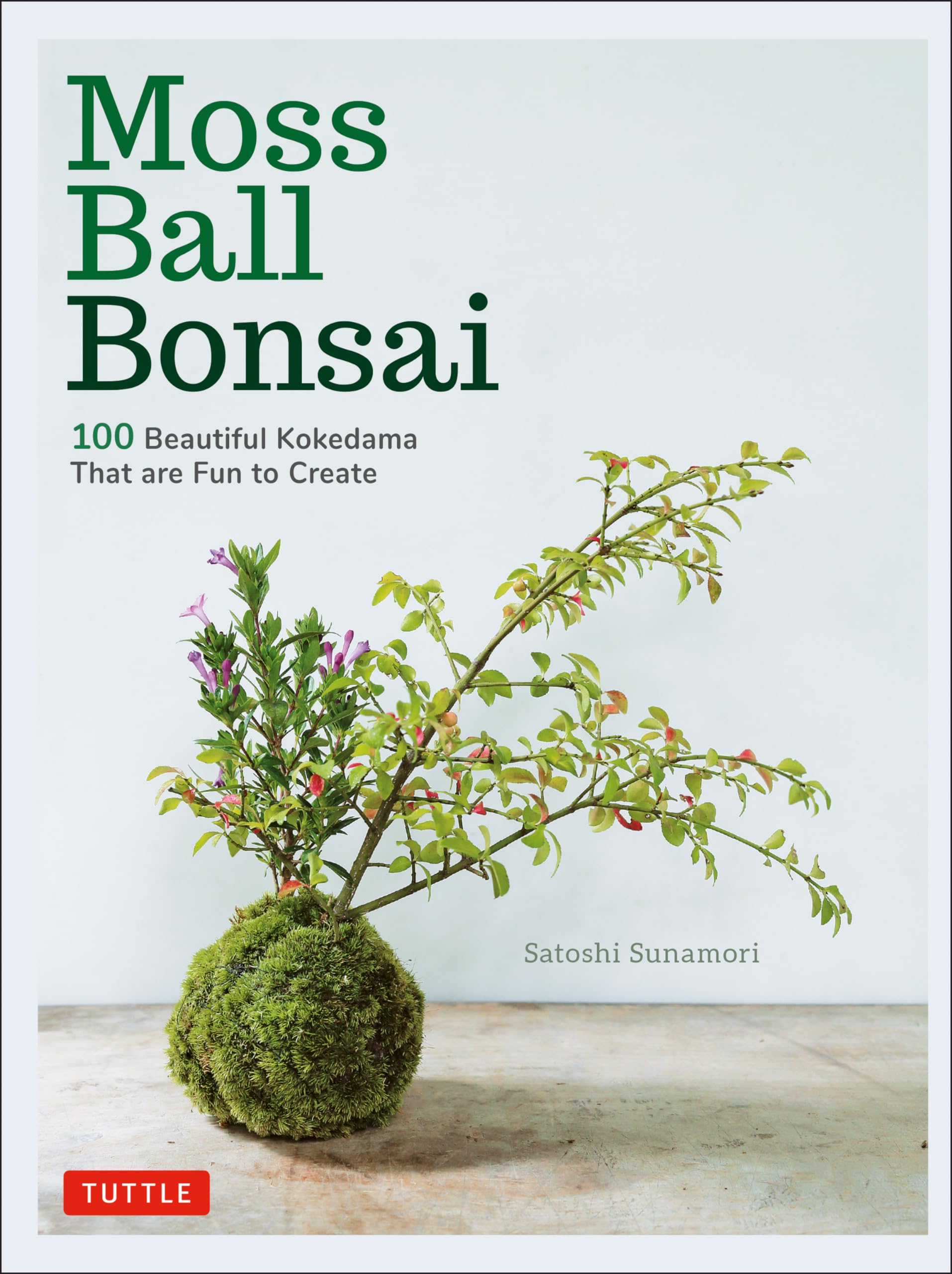 Moss Ball Bonsai: 100 Beautiful Kokedama That Are Fun to Create Hobbies & Crafts