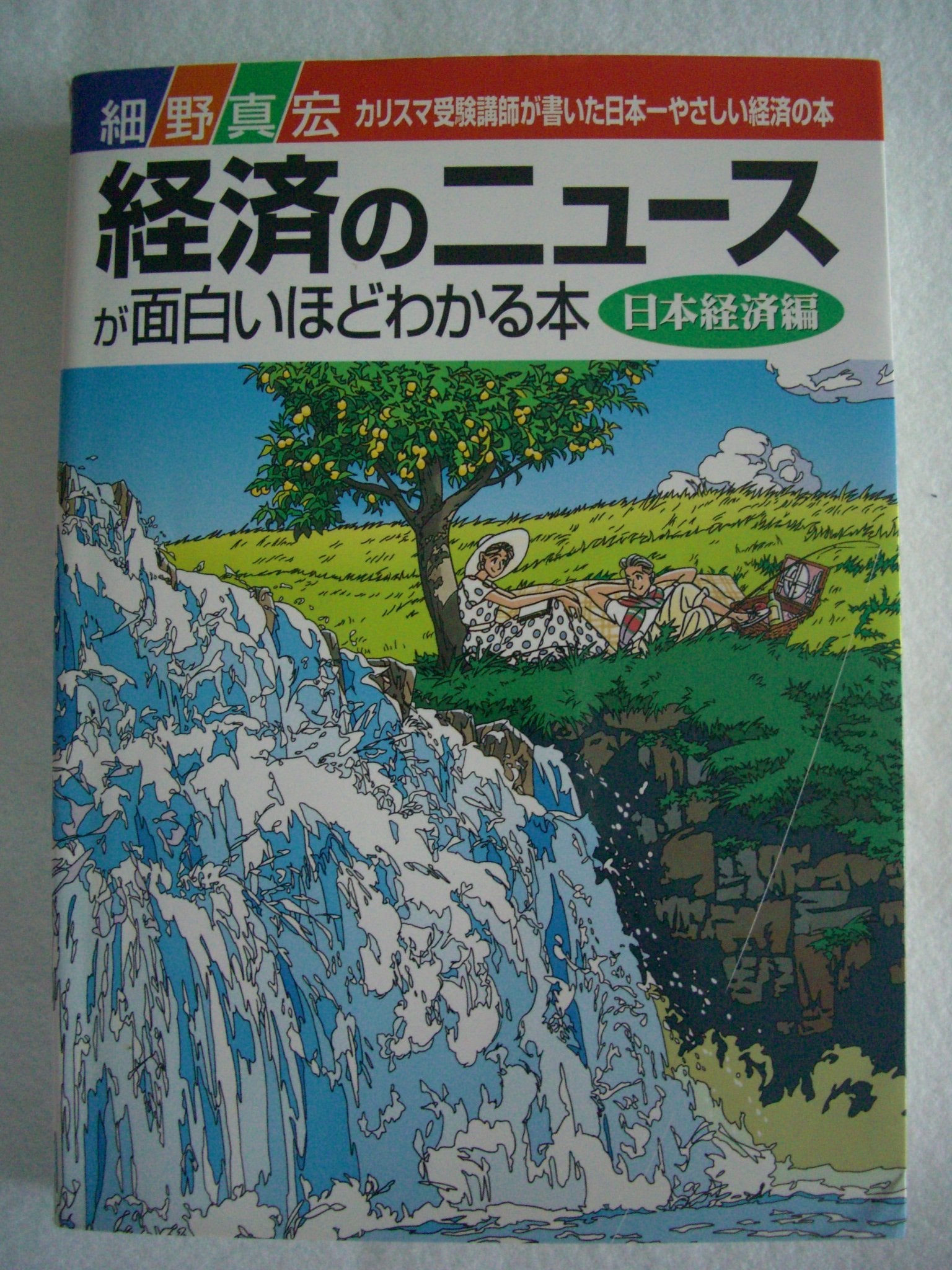 Guide Books Tell About the Japanese Economy and Economic News Is Interesting Books