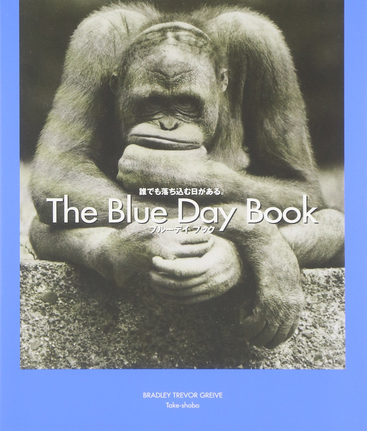 The Blue Day Book (Text in Japanese and English) Books