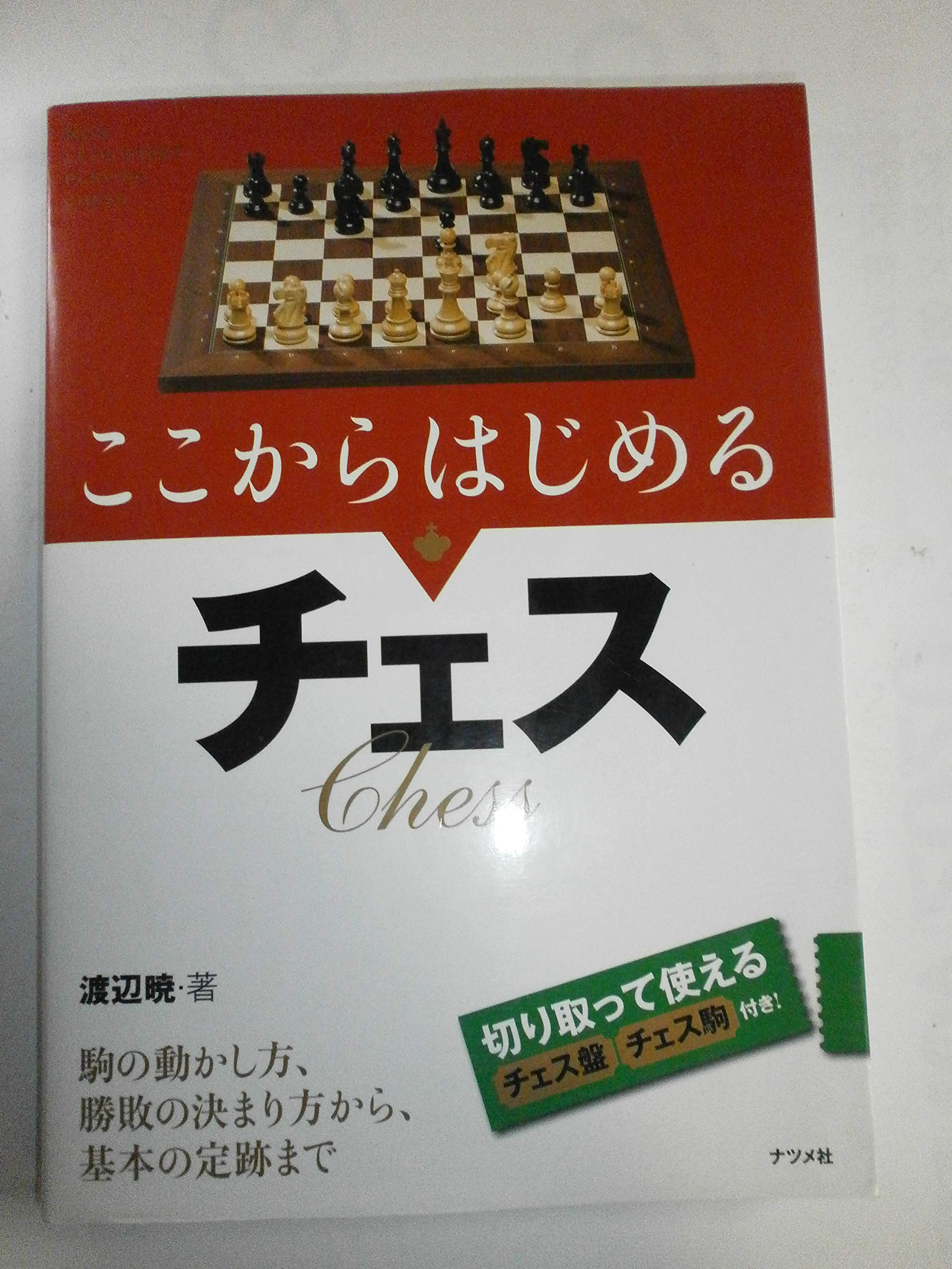 Chess starting from here book