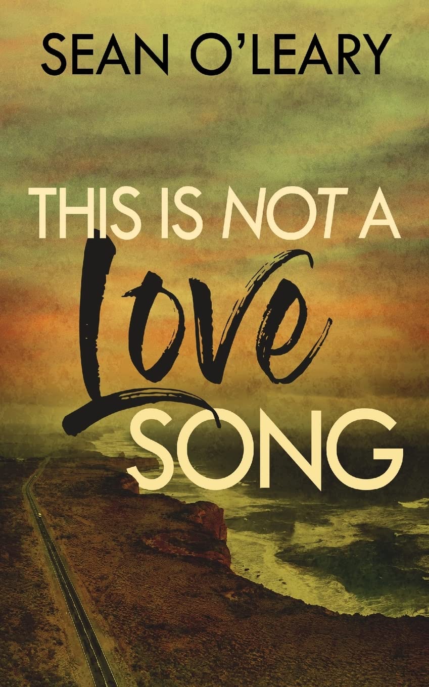 This Is Not A Love Song Contemporary literature
