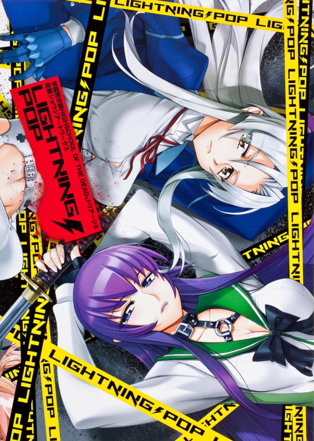 Highschool of the Dead - Lightning Pop * Artbook (Highschool of the Dead) Books