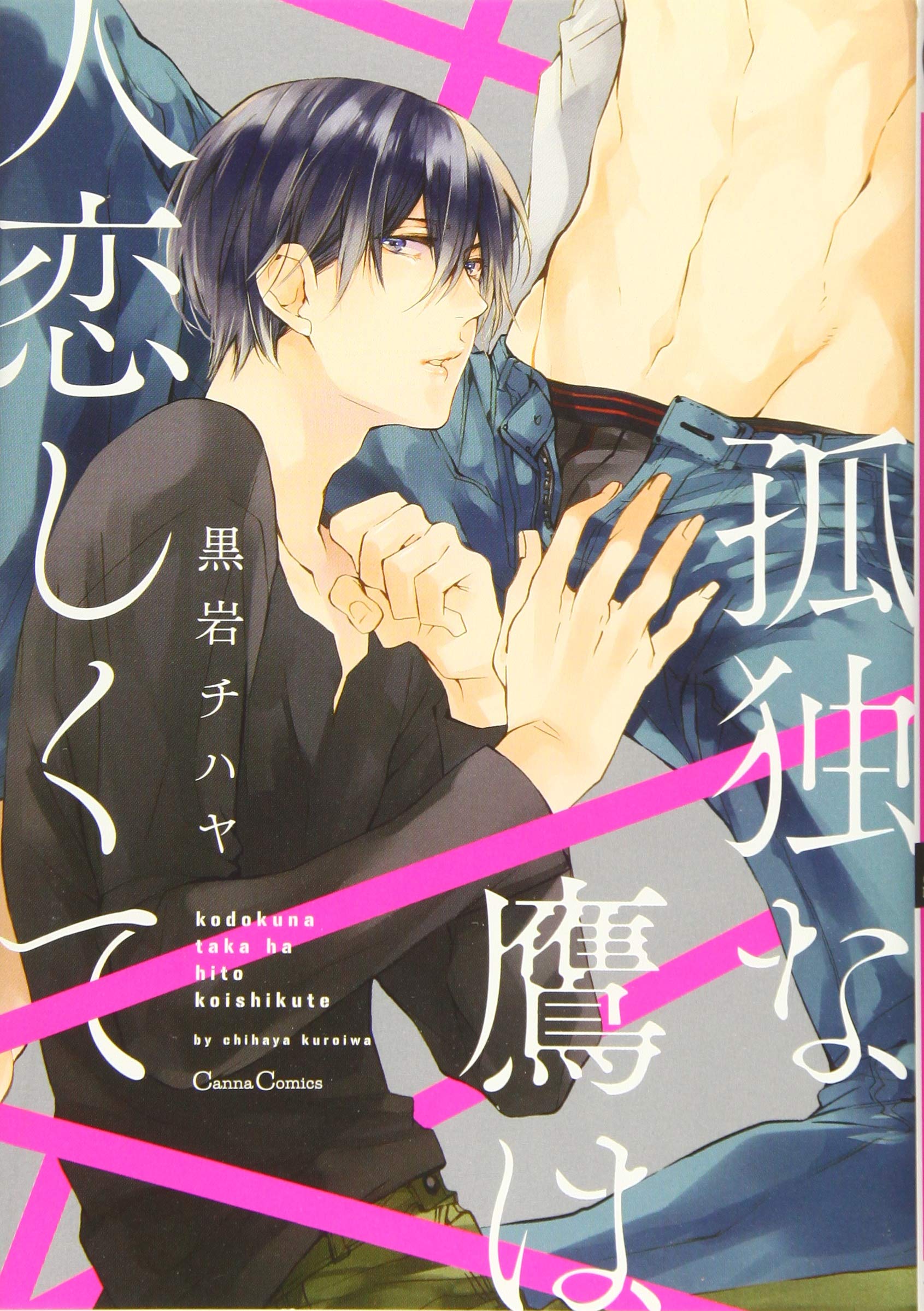 孤ç‹¬ãª鷹ã¯人æ‹ã—ãã¦ (Canna Comics) Books