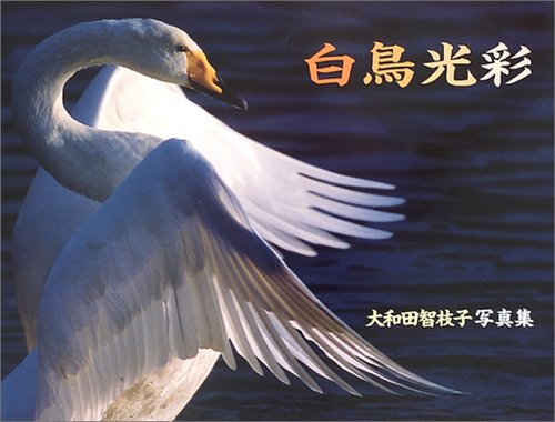 白鳥光彩―大和田智枝子写真集 Books