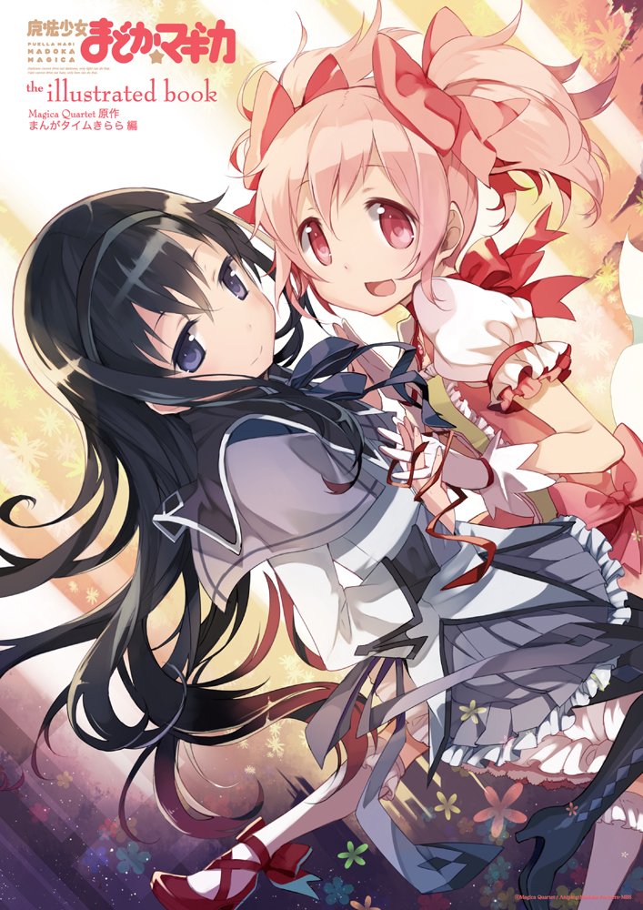 PUELLA MAGI MADOKA MAGICA the illustrated book (japan import) Books