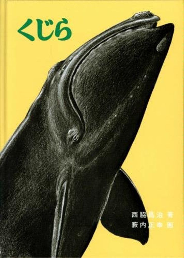 くじら (福音館のかがくのほん) Books