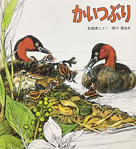 かいつぶり (かがくのとも特製版) Books