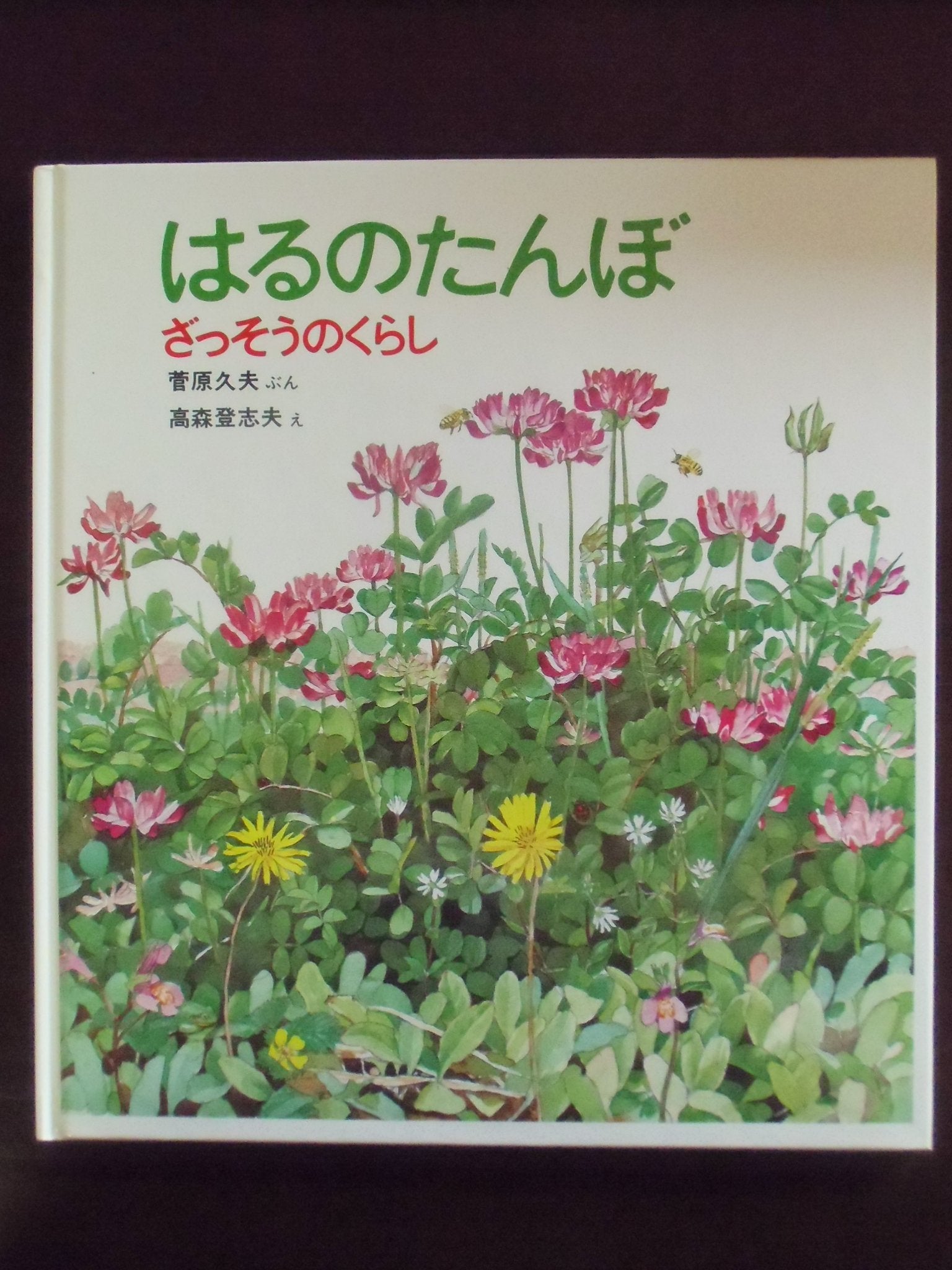 はるのたんぼ―ざっそうのくらし (かがくのとも傑作集) Books