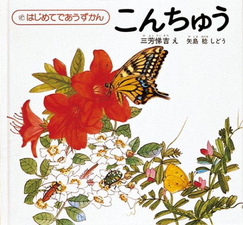 Product Image: こんちゅう (はじめてであうずかん 1)