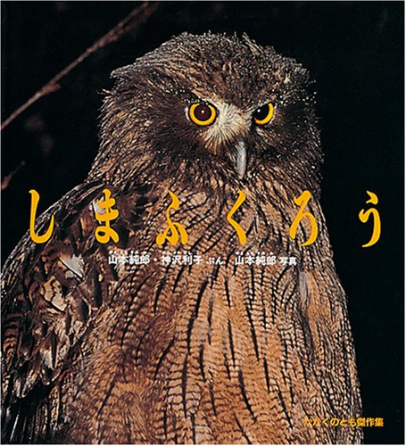 しまふくろう (かがくのとも傑作集 どきどきしぜん) Books