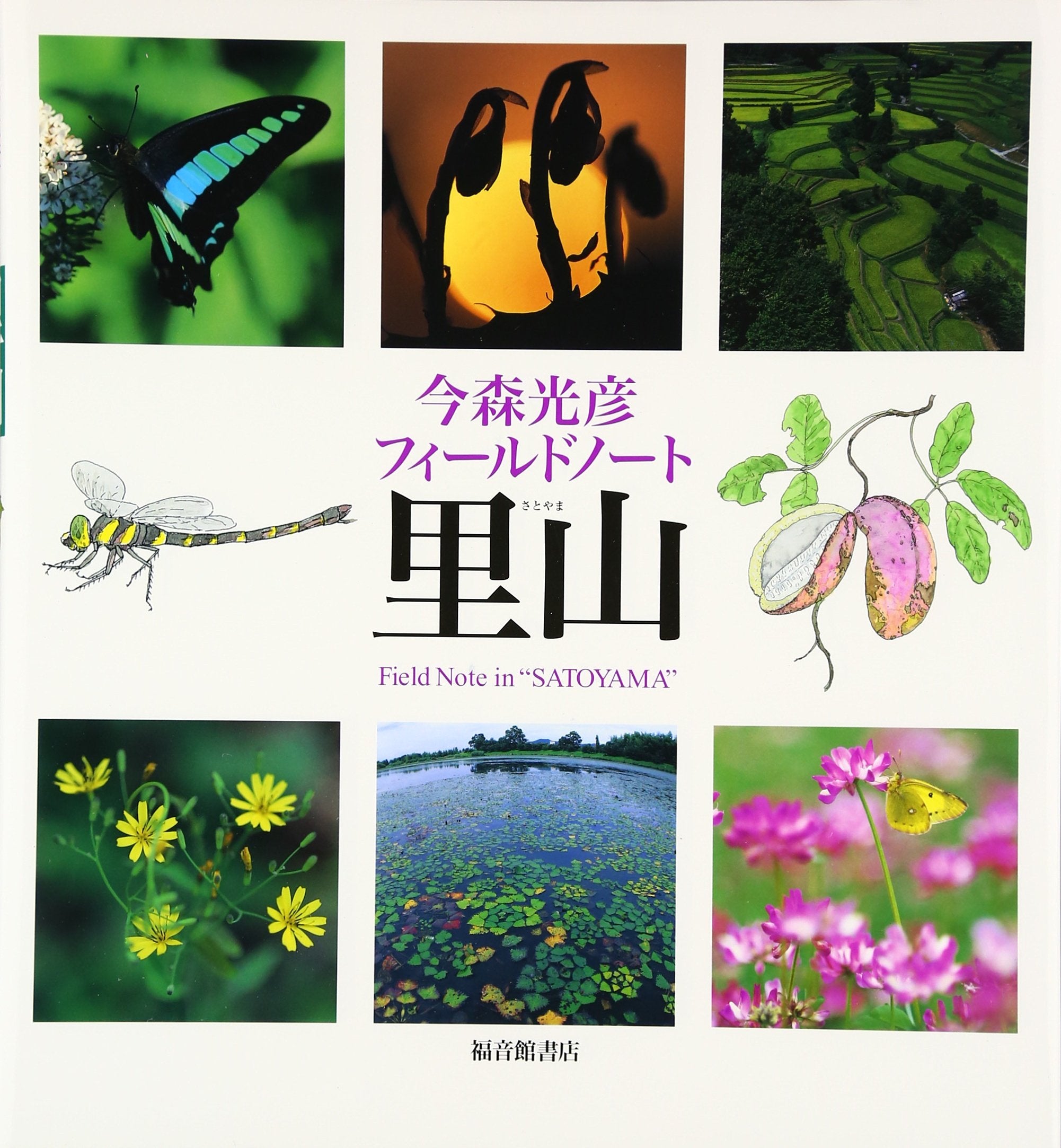 Satoyama : Imamori mitsuhiko fiÌ„rudo noÌ„to Books