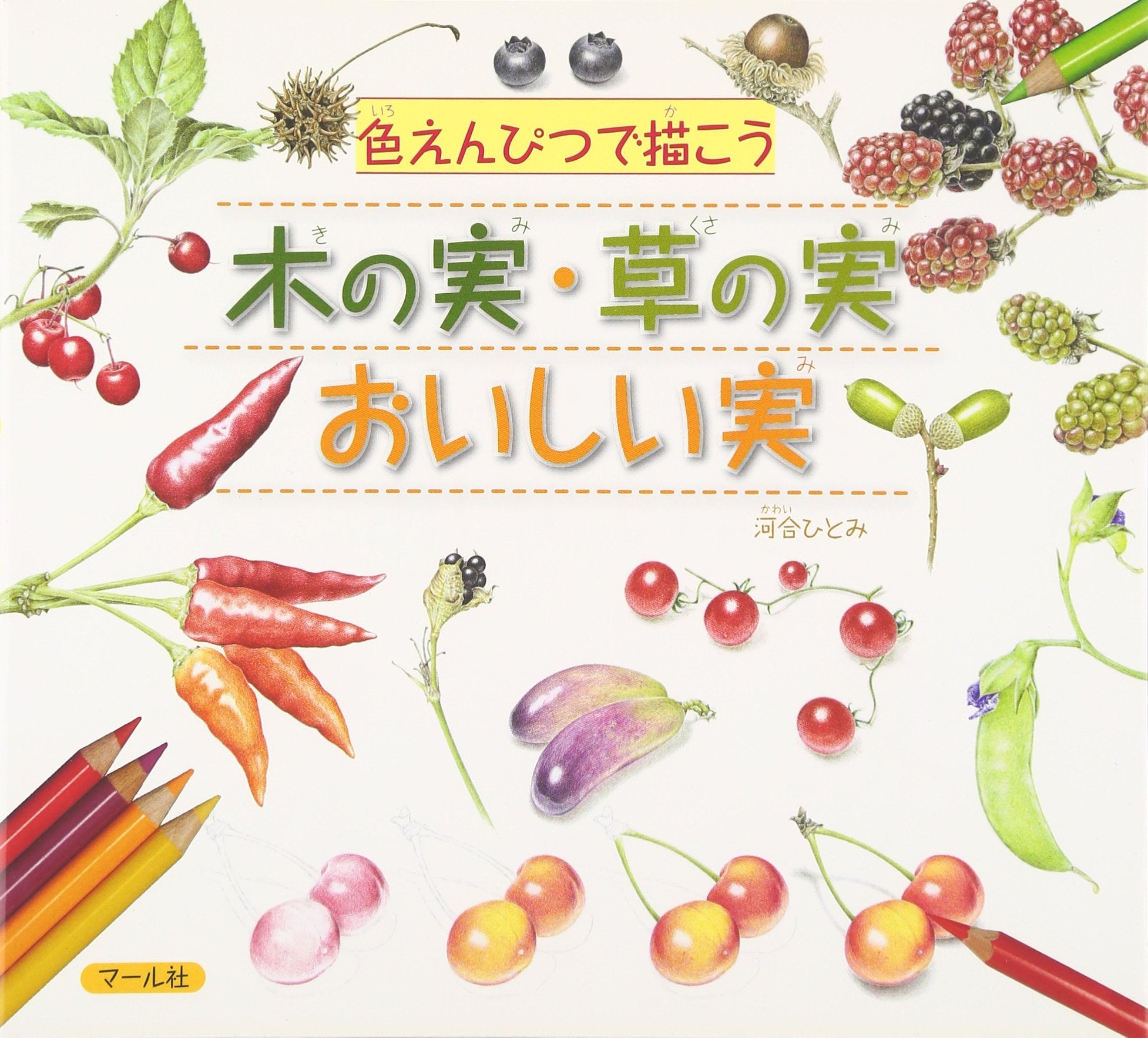 色えんぴつで描こう 木の実・草の実・おいしい実 Books
