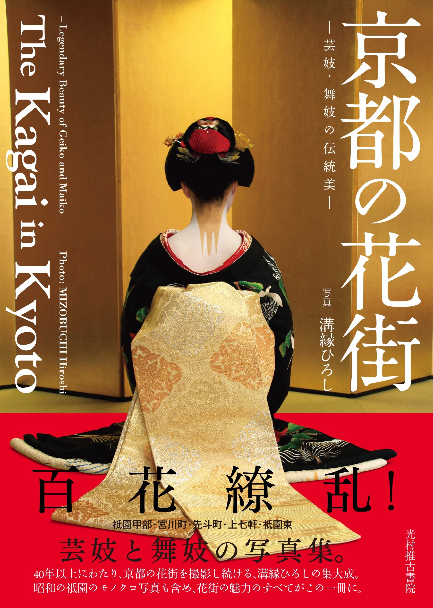 The Kagai In Kyoto book