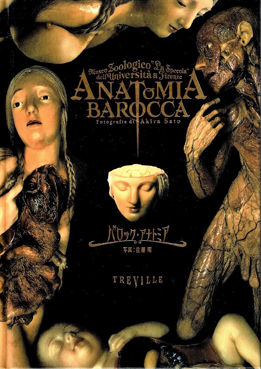 Product Image: Akira Sata: Anatomia Barocca