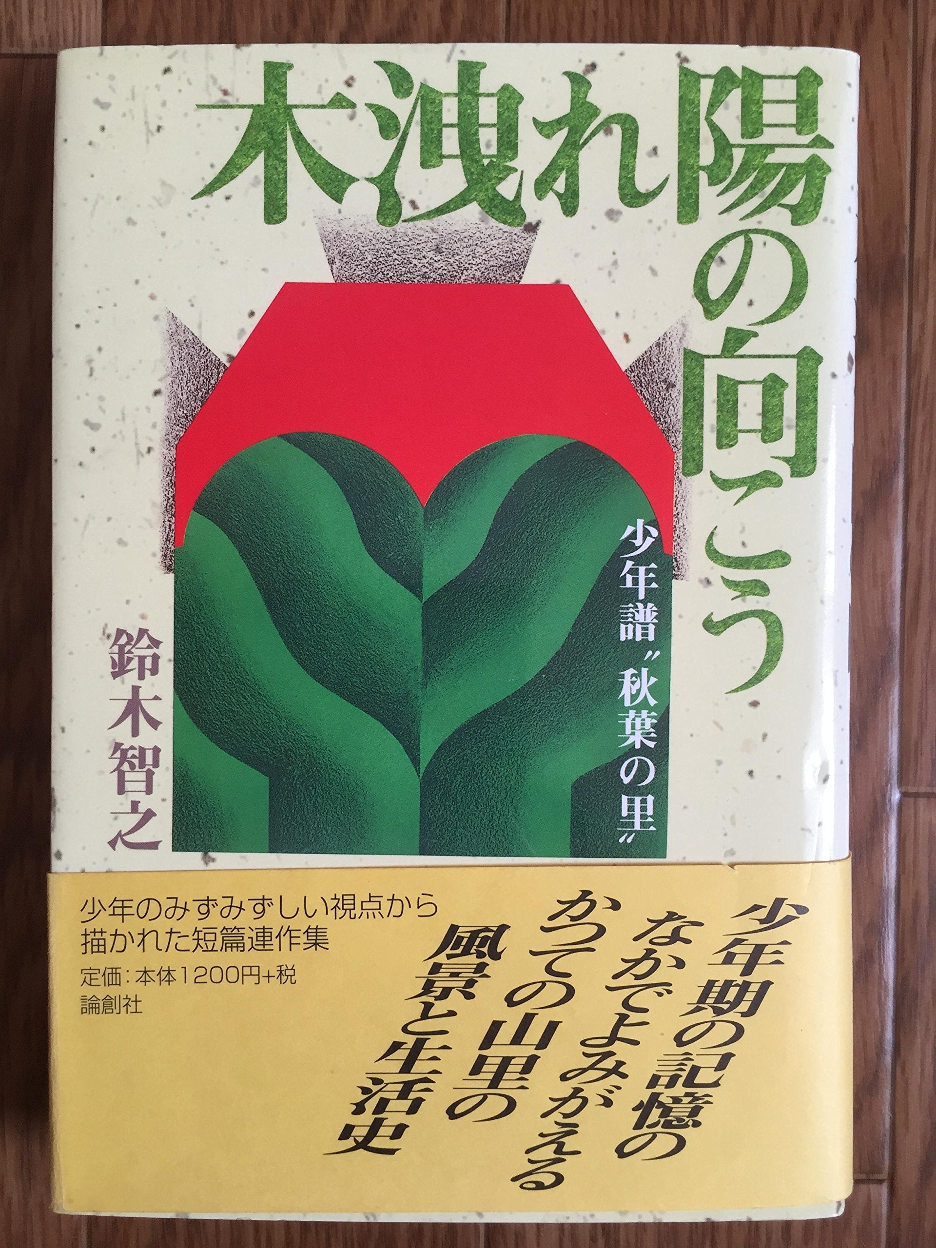 木洩れ陽の向こう―少年譜“秋葉の里” Books