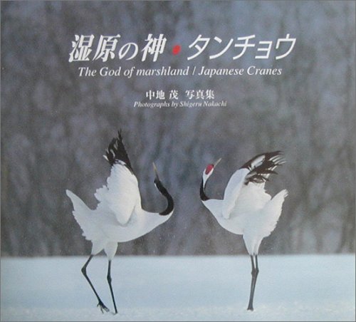 湿原の神・タンチョウ―中地茂写真集 Books