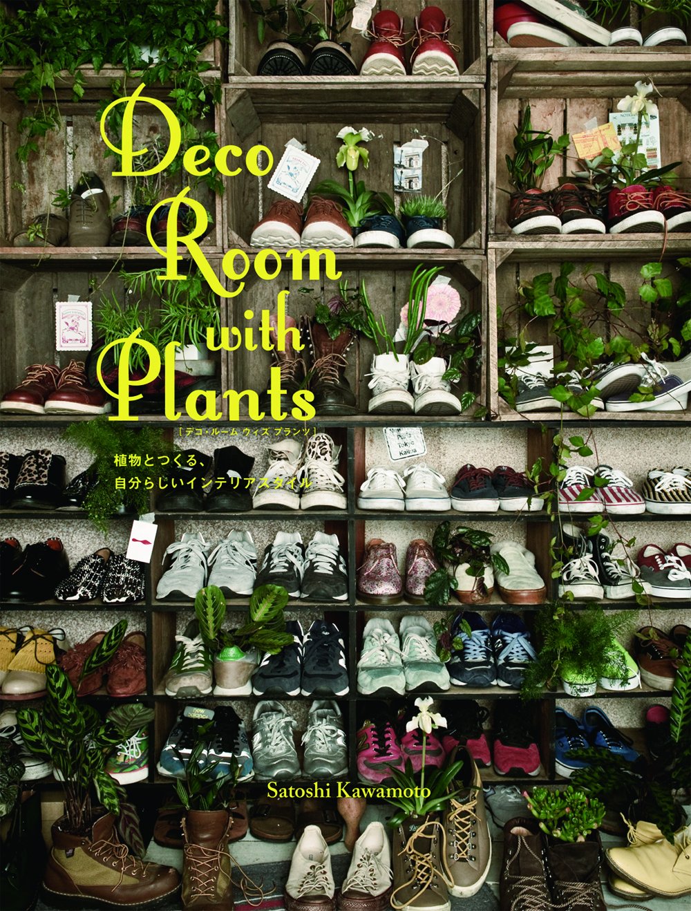 Product Image: Deco Room With Plants