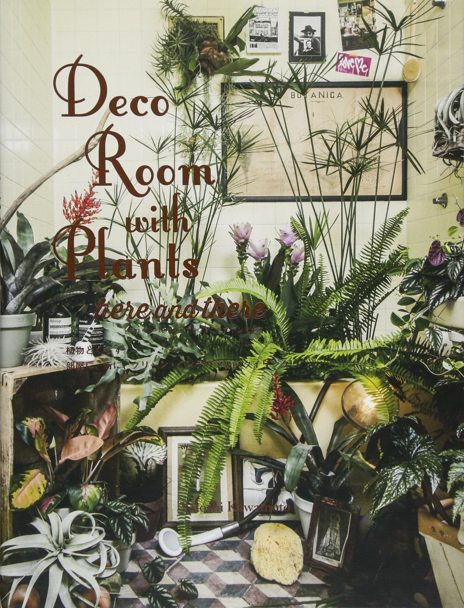 Deco Room with Plants Here and There: Living with Plants: Interior and Exterior Decorating with Green Social Sciences