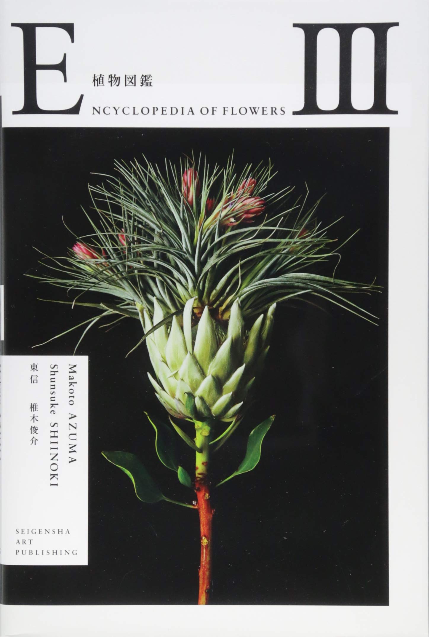Encyclopedia of Flowers III Travel