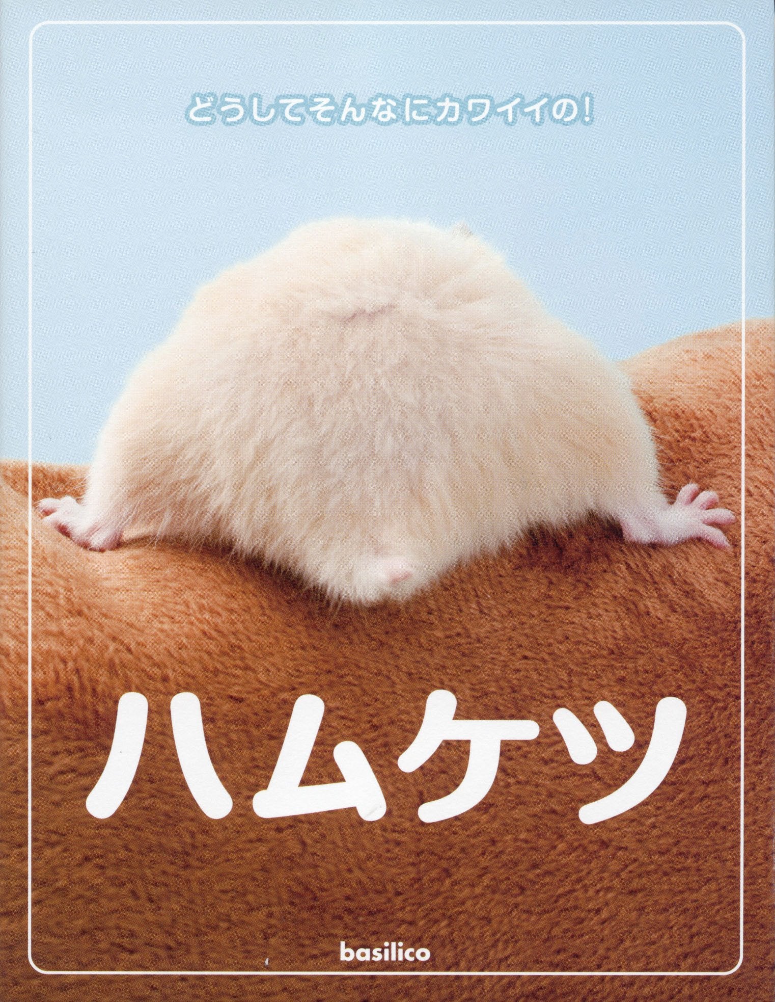 ハムケツ Books