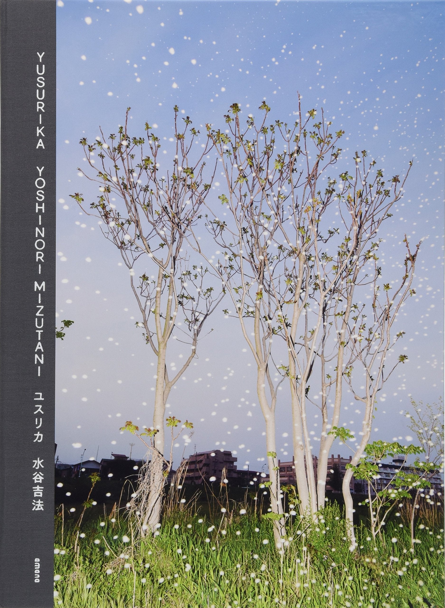 Yoshinori Mizutani - Yusurika book