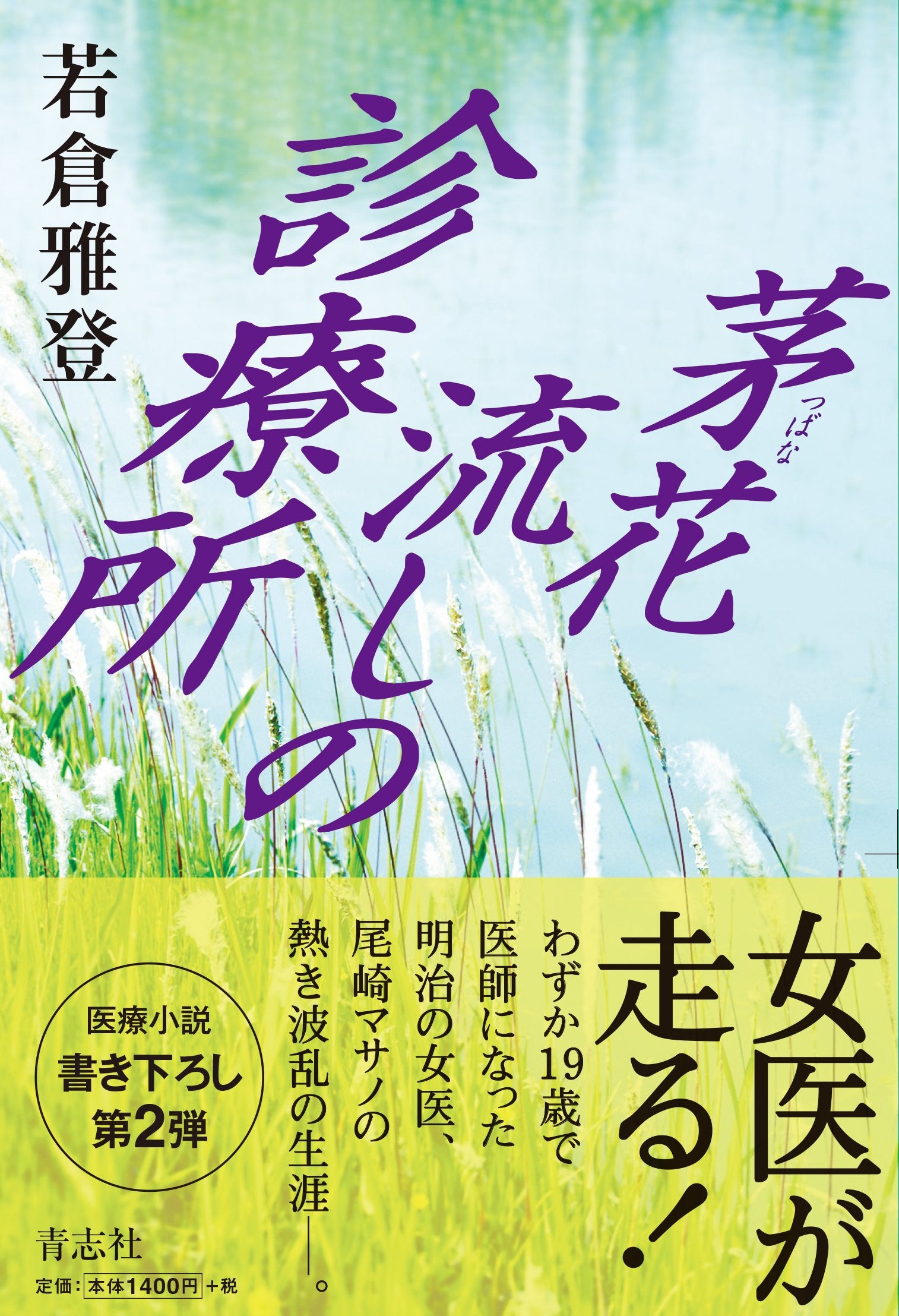 茅花流しの診療所 Books