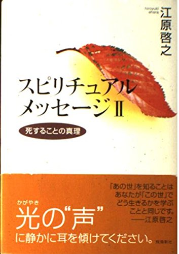 スピリチュアルメッセージII―死することの真理 book