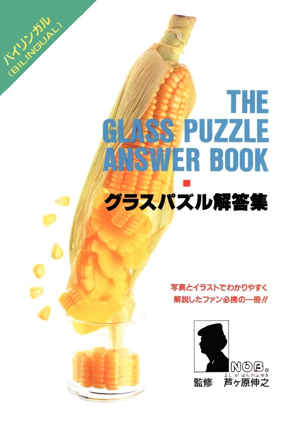 The Glass Puzzle Answer Book book