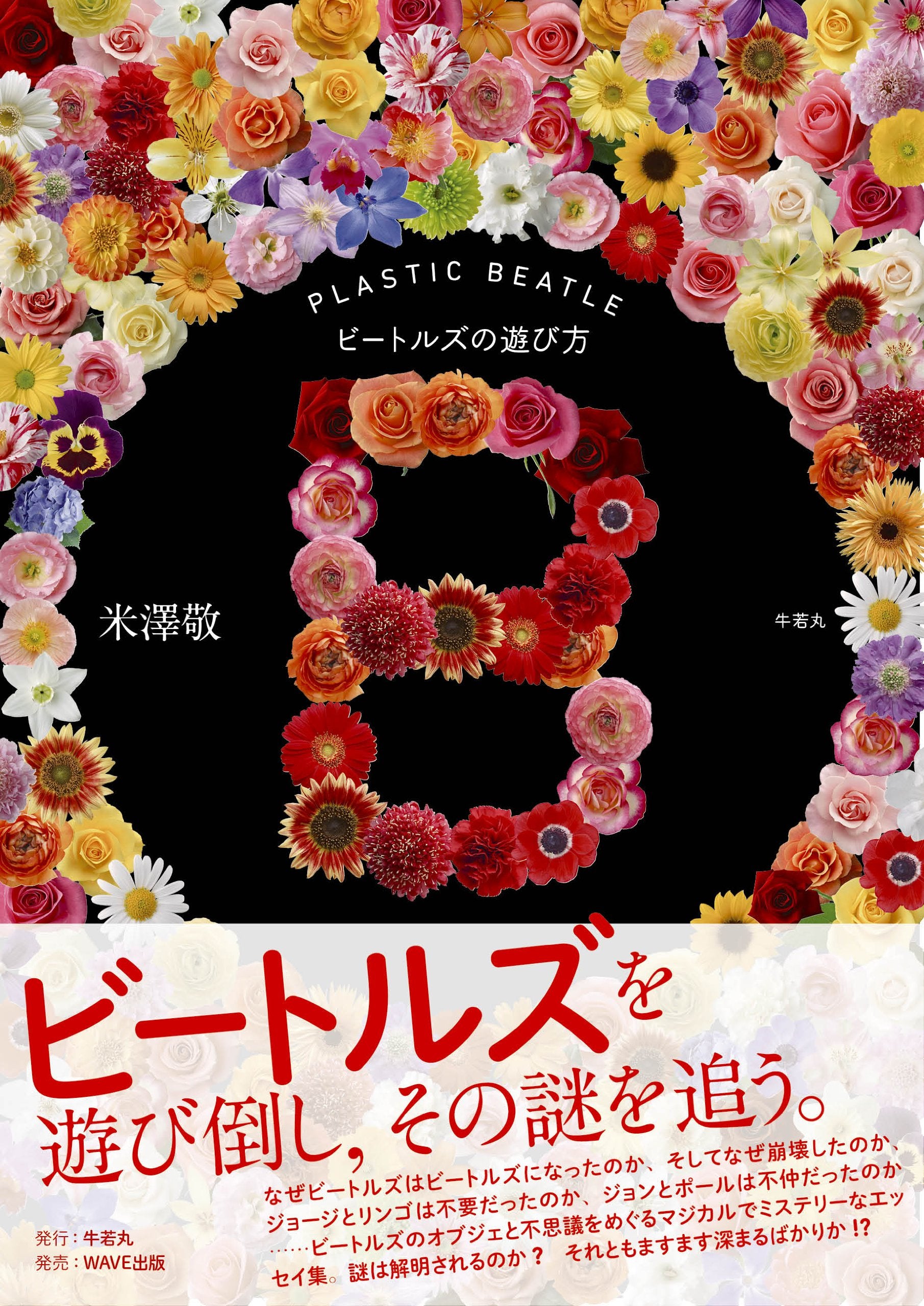 Product Image: B : PLASTIC BEATLE biÌ„toruzu no asobikata