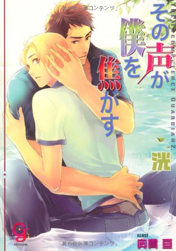 その声が僕を焦がす (ガッシュ文庫) Books