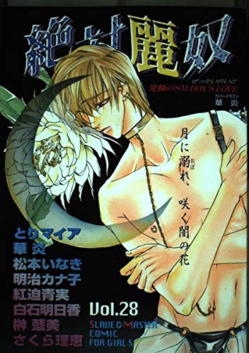 絶対麗奴 28 (光彩コミックス) Books