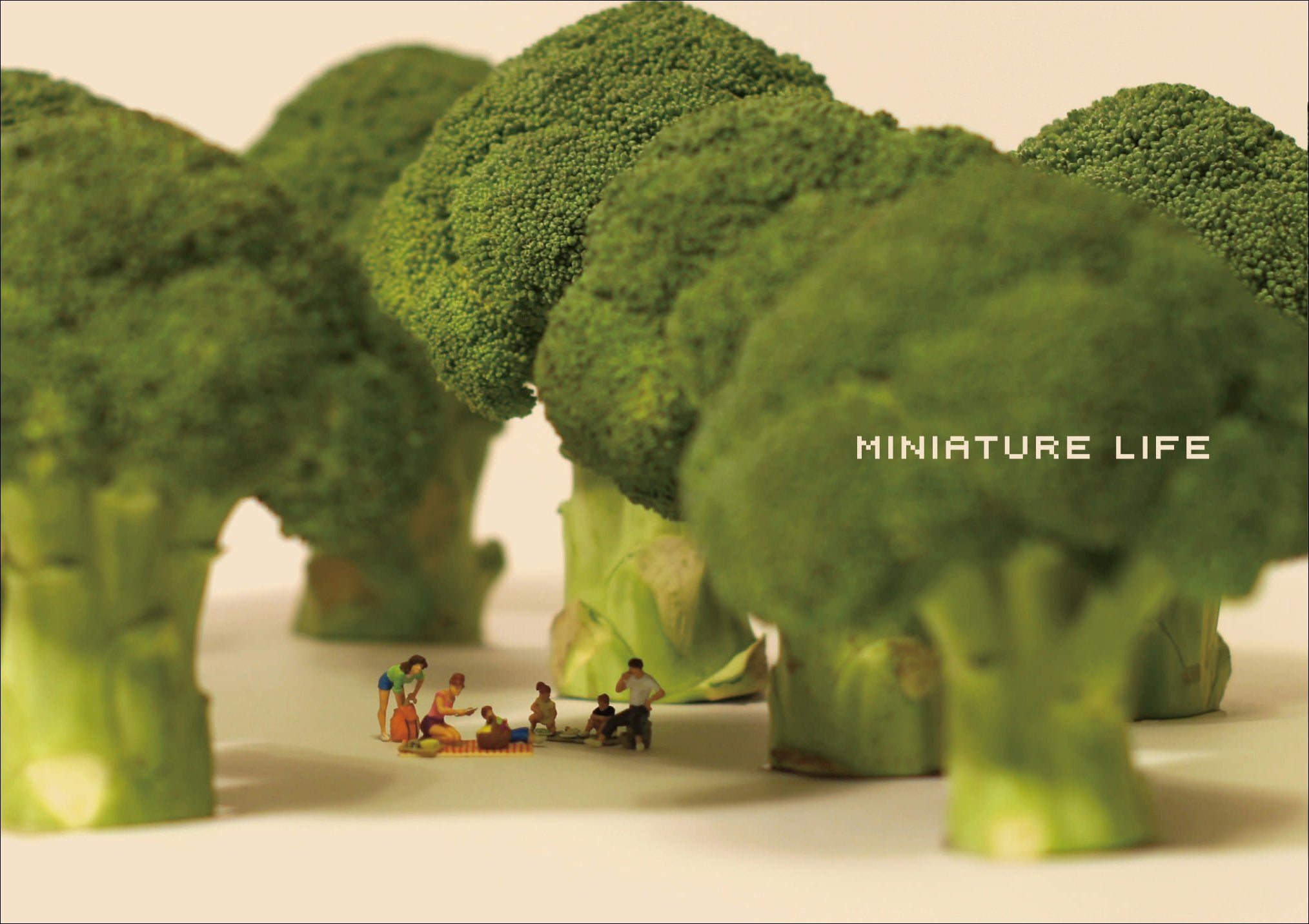 Product Image: MINIATURE LIFE ミニチュアライフ