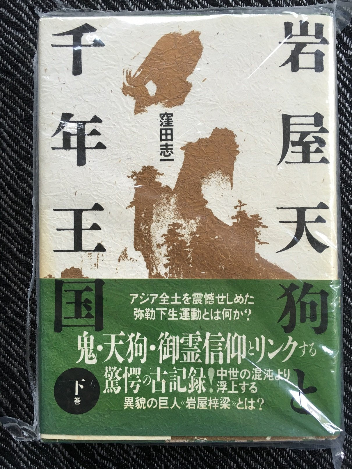 岩屋天狗と千年王国〈下巻〉 Books