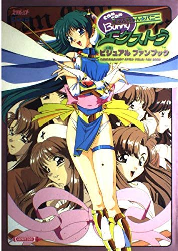 きゃんきゃんバニー エクストラ ビジュアル ファンブック Books