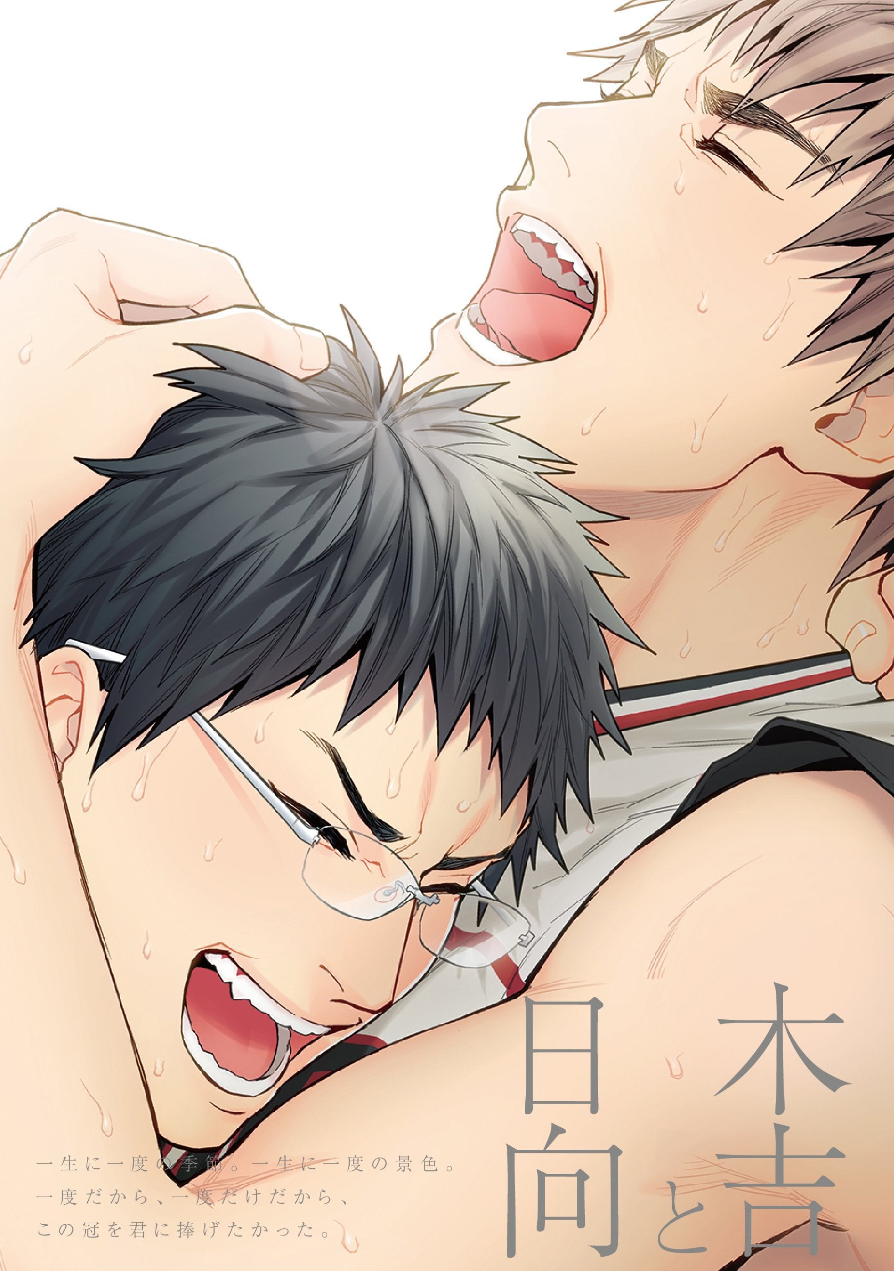 黒バスアンソロジーMVP番外編 木吉と日向 Books