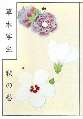 A Japanese Botanist´s 17th Century Sketchbook : Autumn Flowers book