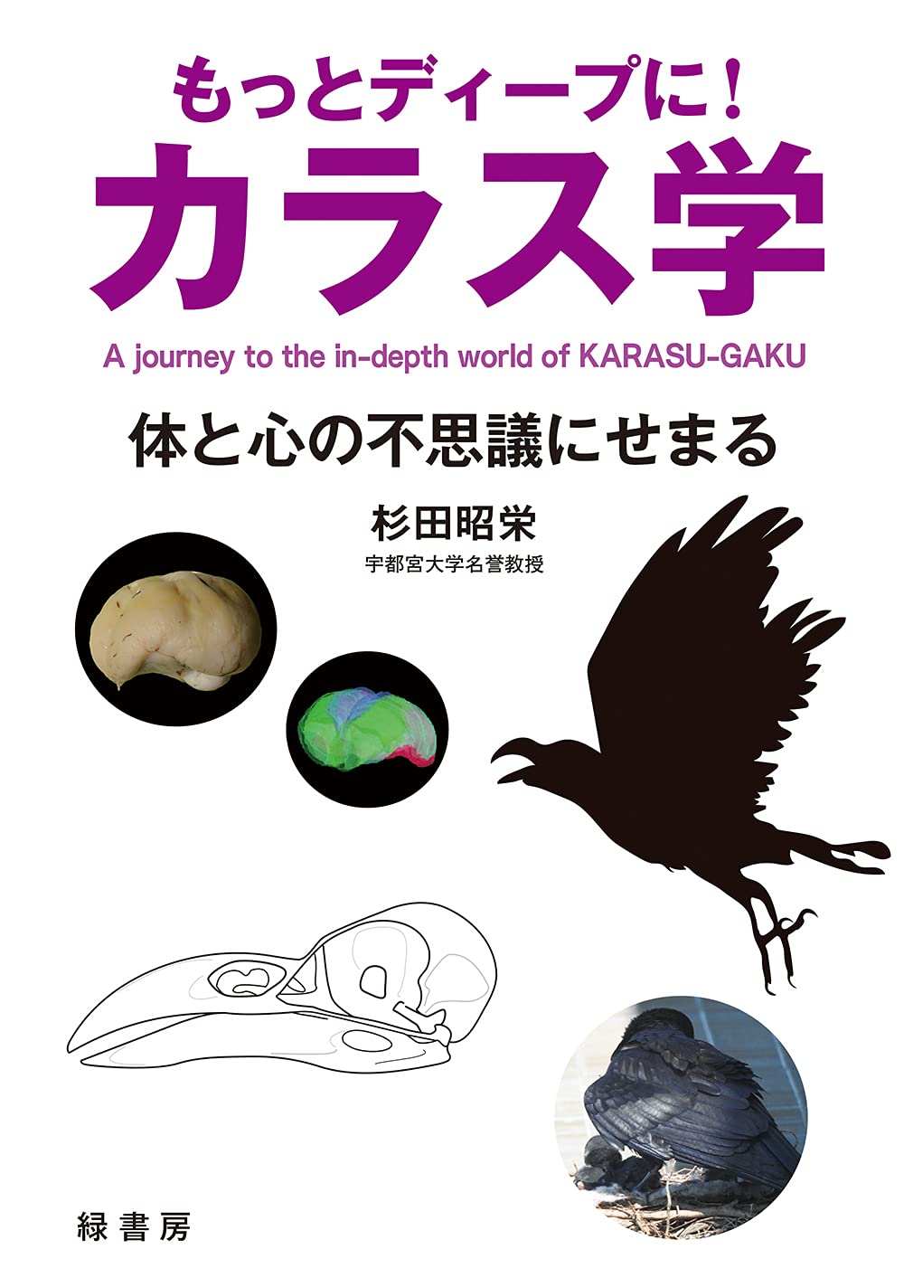 もっとディープに! カラス学 : 体と心の不思議にせまる Books