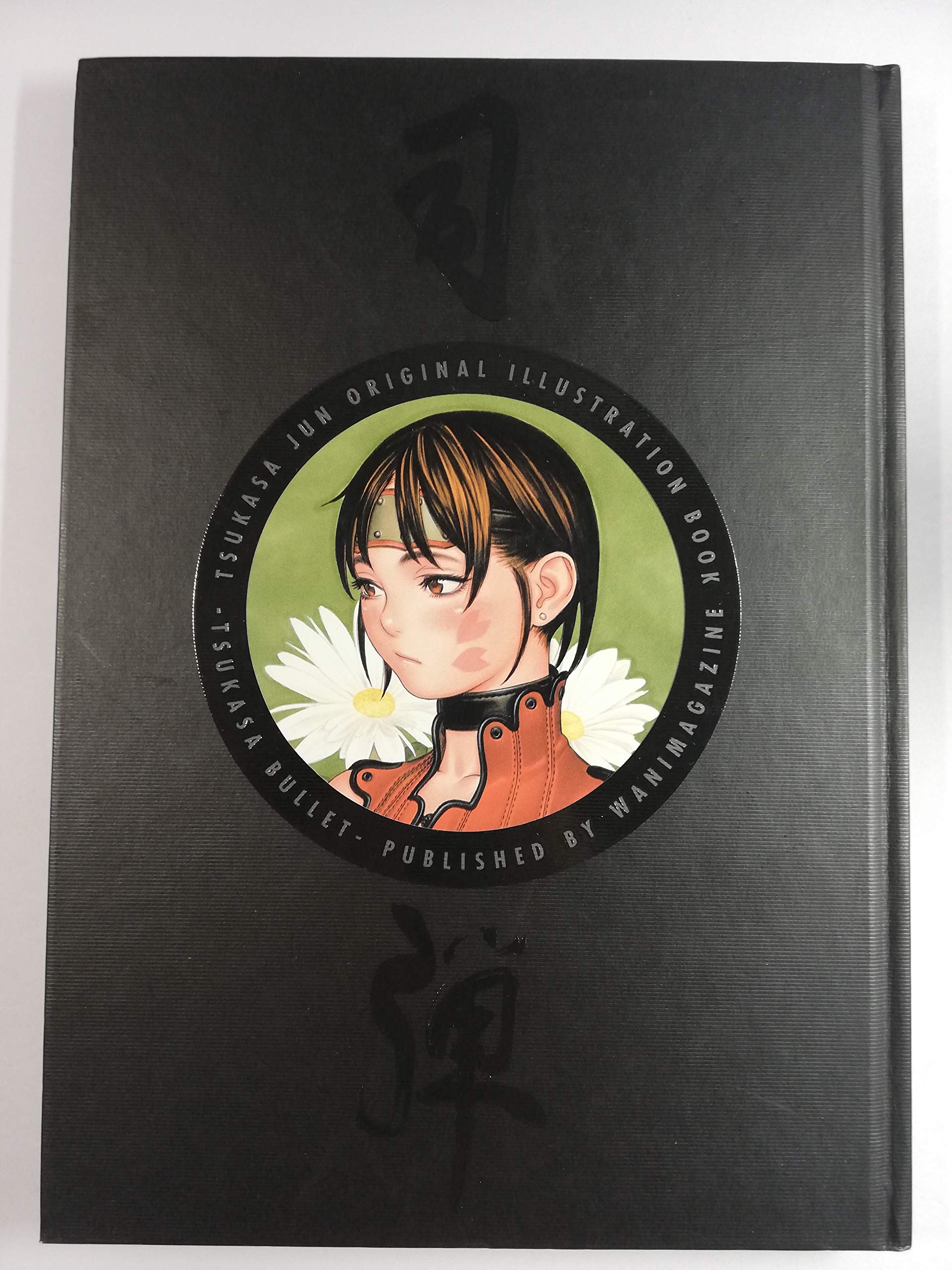 Product Image: Jun Tsukasa Illustrations Art Book Tsukasa Bullet
