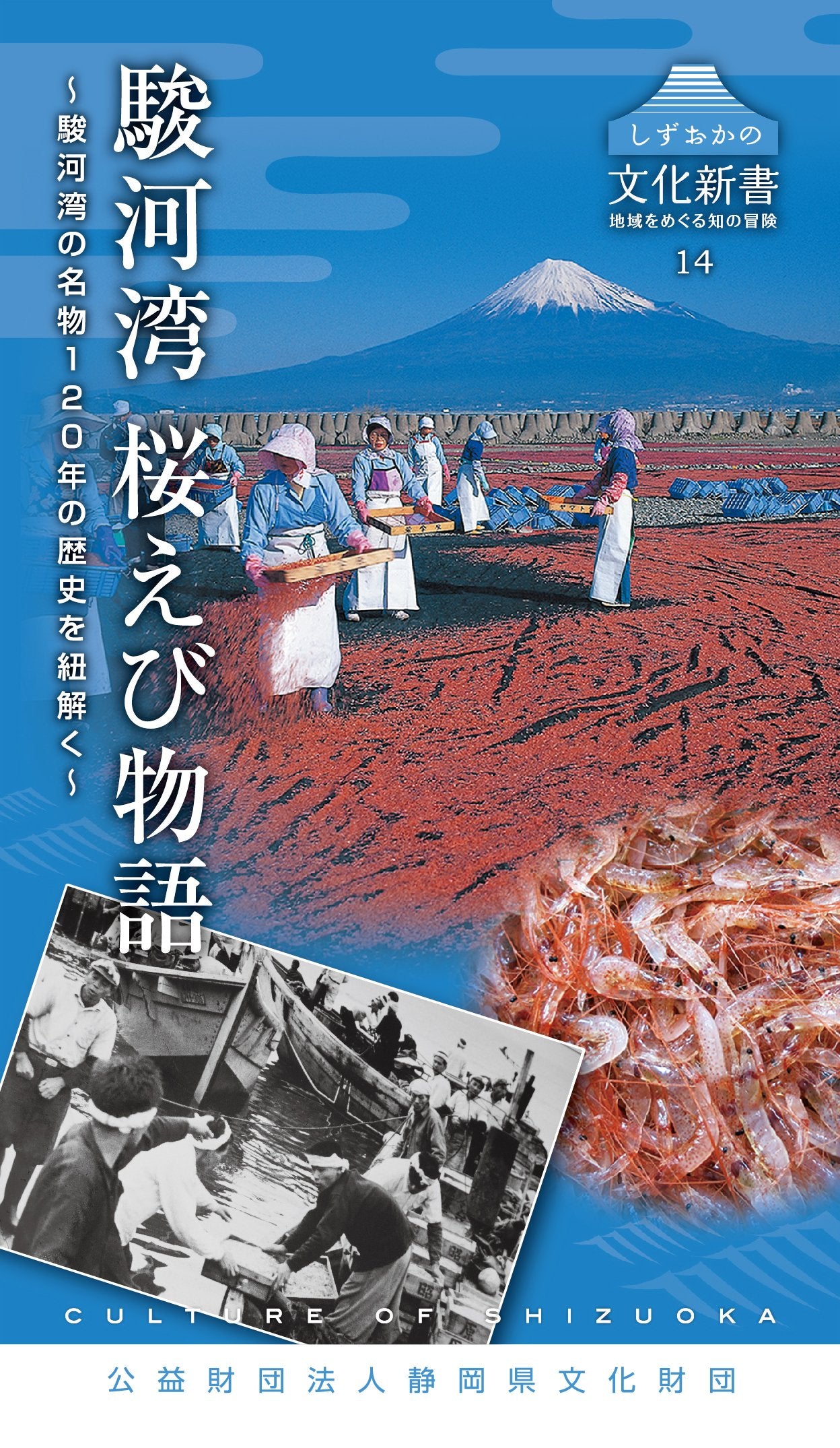ã—ãšãŠã‹ã®æ–‡åŒ–æ–°æ›¸14 駿河湾 æ¡œãˆã³ç‰©èªž (ã—ãšãŠã‹ã®æ–‡åŒ–æ–°æ›¸ 14 åœ°åŸŸã‚’ã‚ãã‚‹çŸ¥ã®å†’é™º) Books