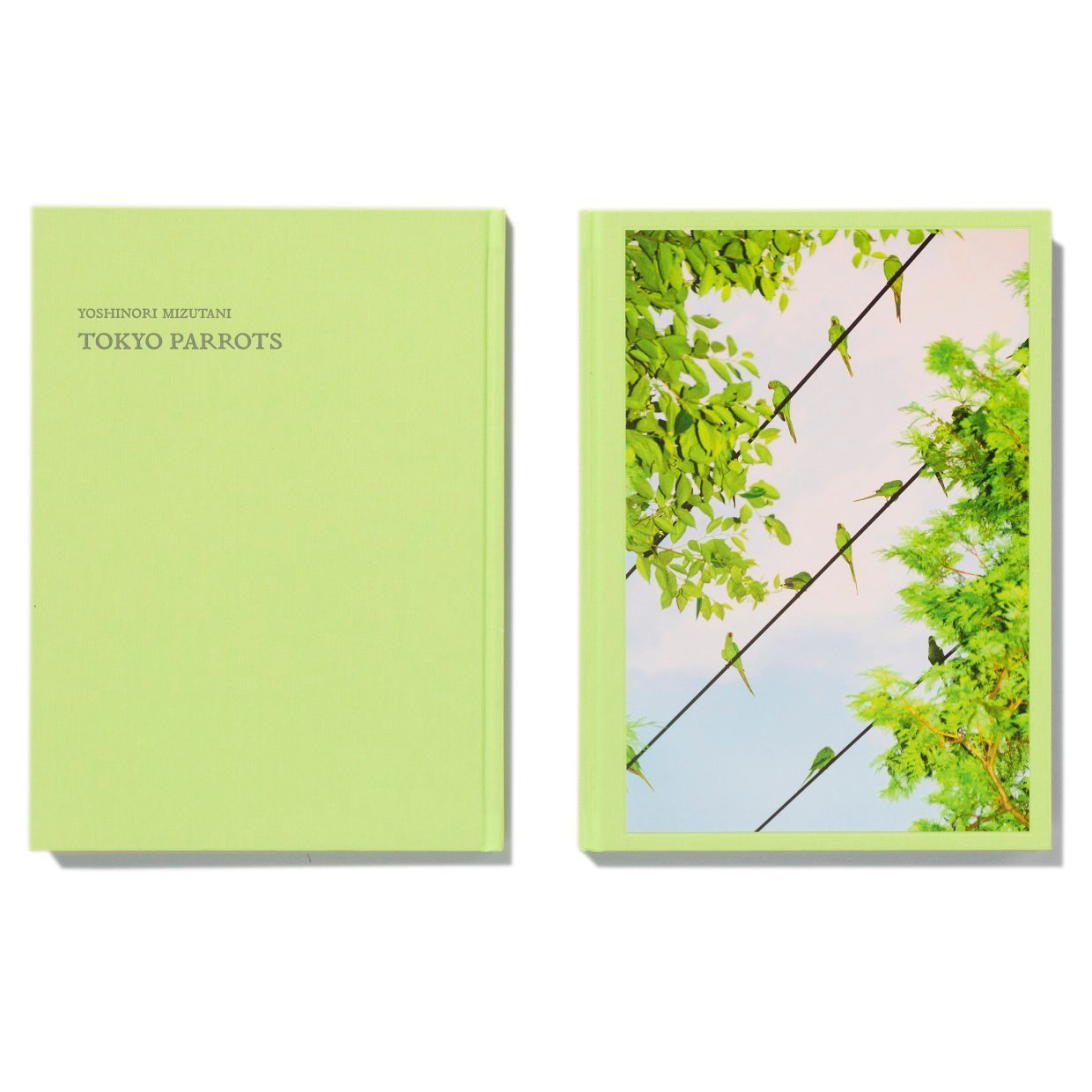 Product Image: Yoshinori Mizutani - Tokyo Parrots