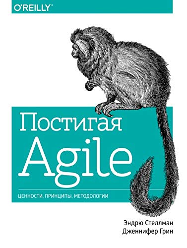 Postigaja Agile. Tsennosti, printsipy, metodologii Books