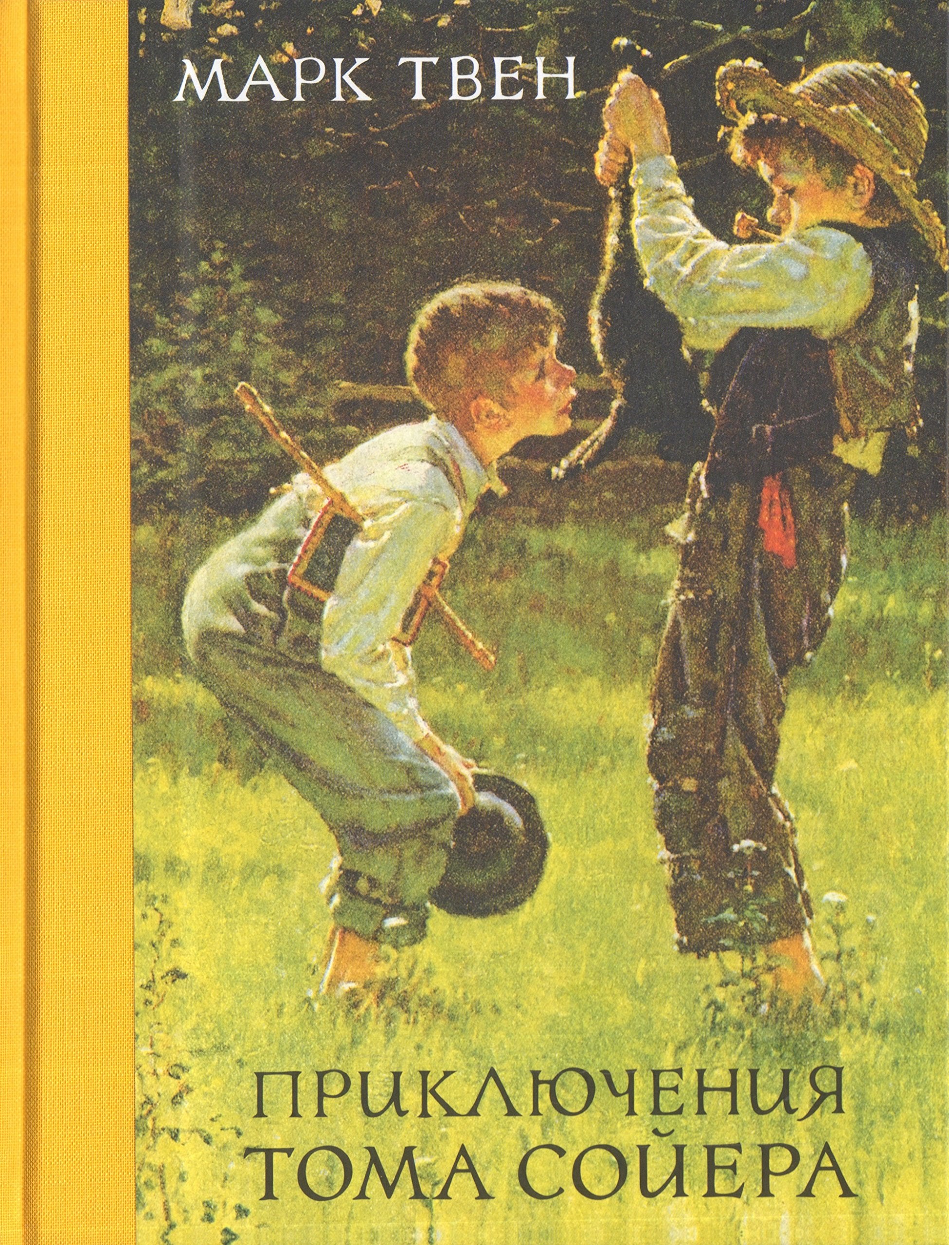 Prikljuchenija Toma Sojera Books
