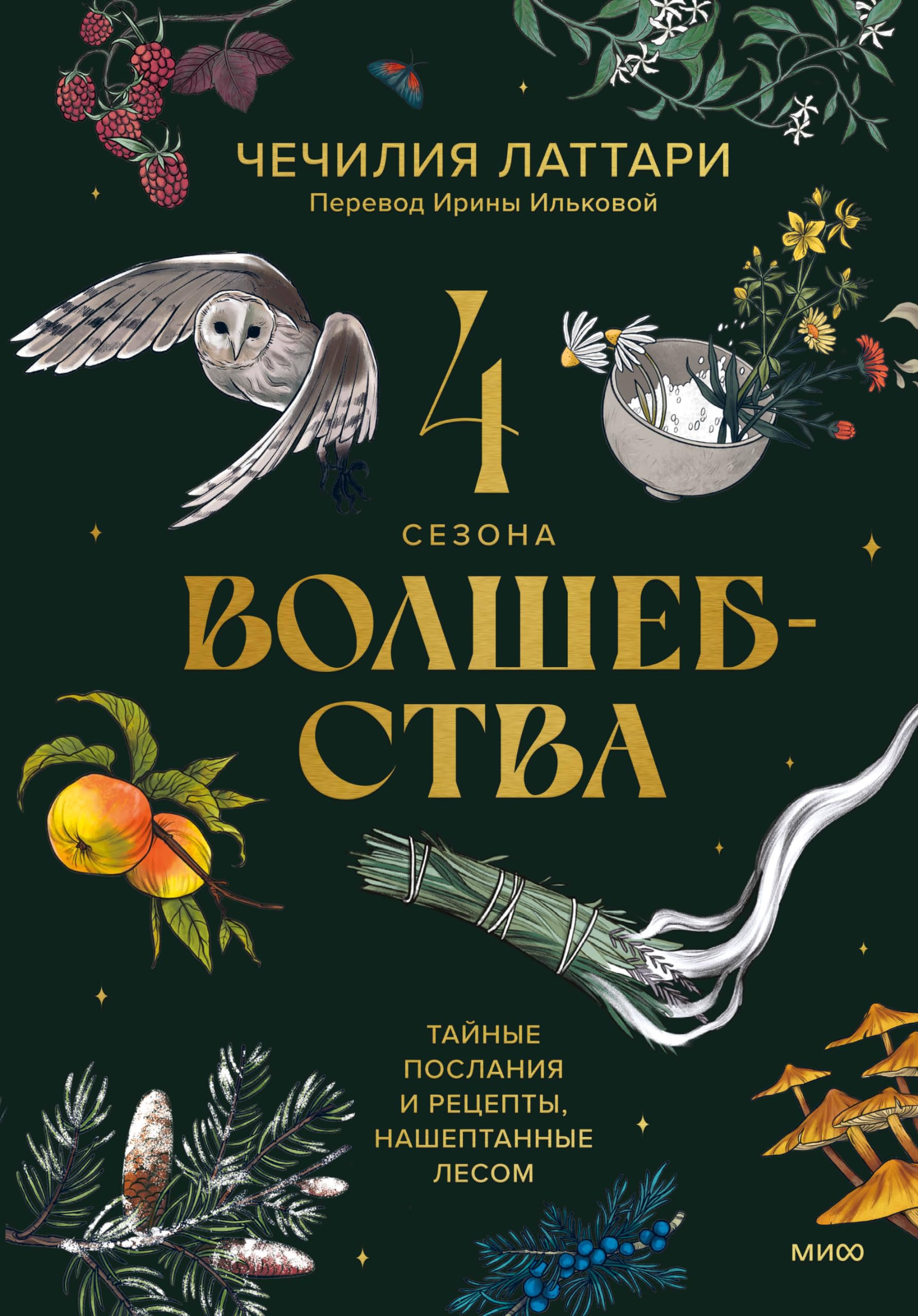 4 sezona volshebstva. Tajnye poslanija i retsepty, nasheptannye lesom book