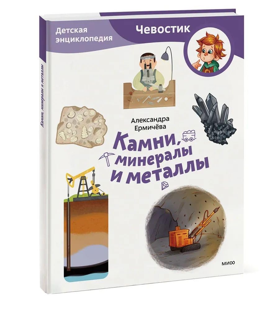 Kamni, mineraly i metally book