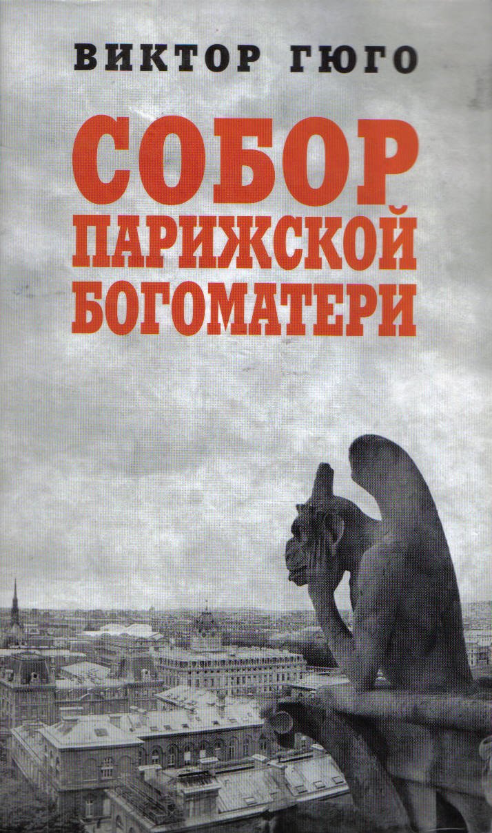 Sobor Parizhskoy bogomateri: Roman book