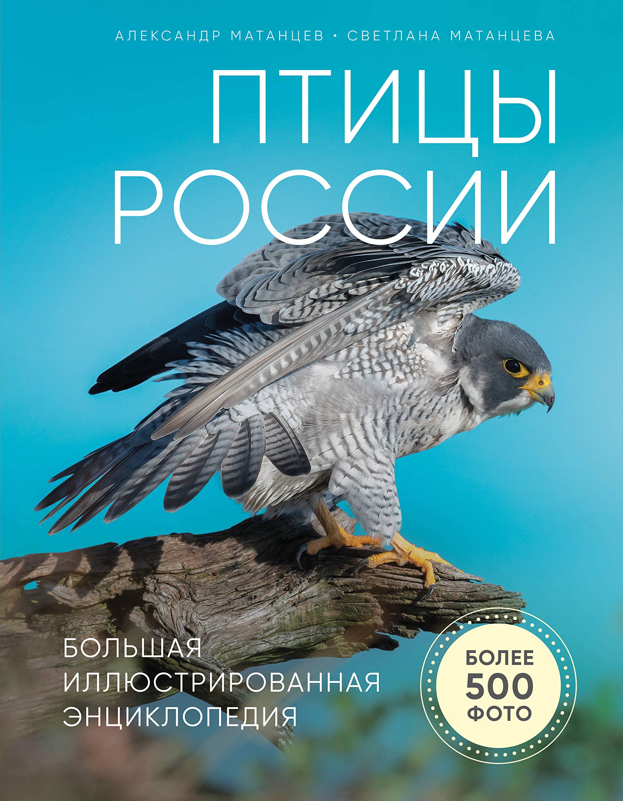 Ptitsy Rossii. Bolshaja illjustrirovannaja entsiklopedija Books