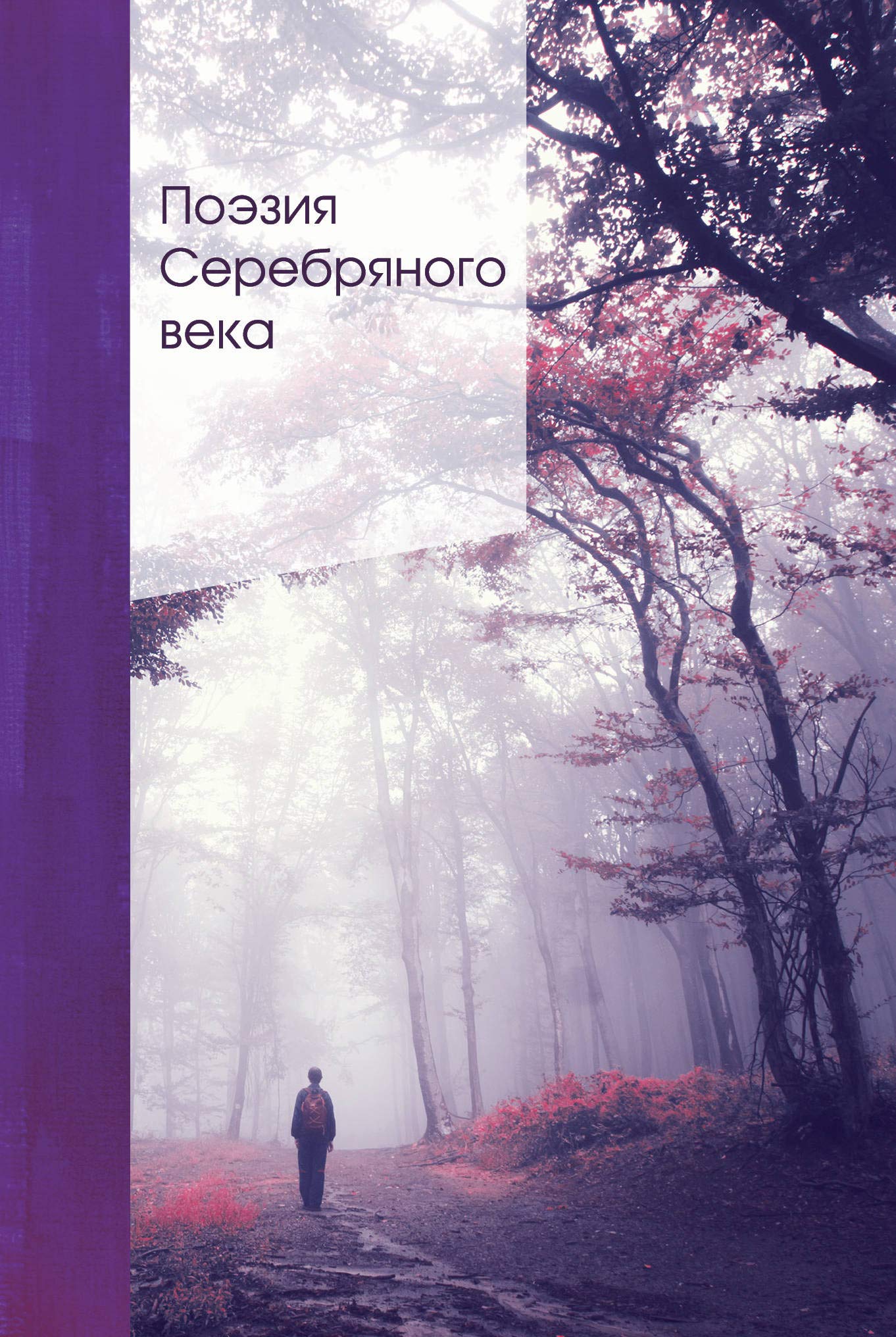 Poezija Serebrjanogo veka Books